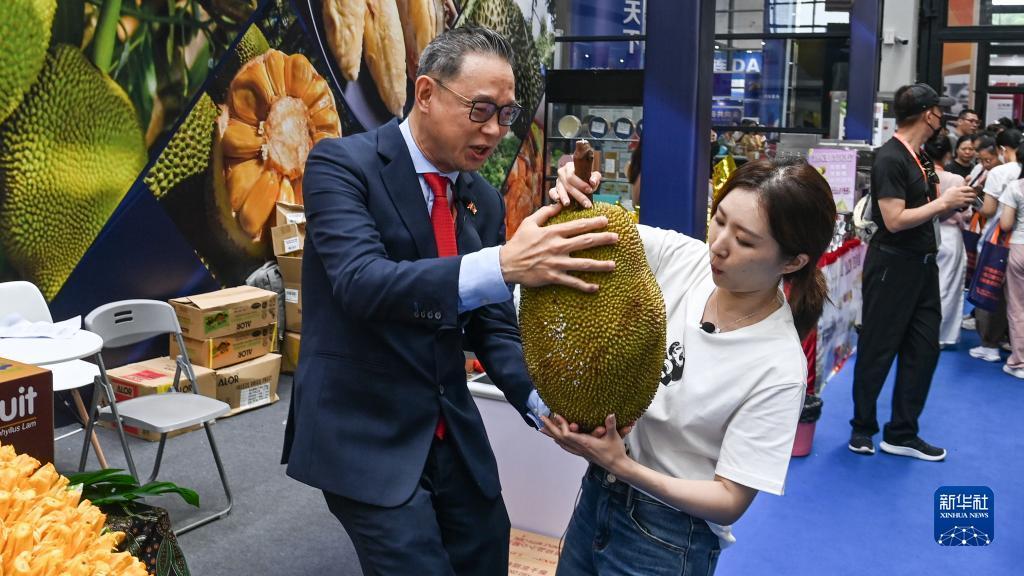 救济金捕鱼版